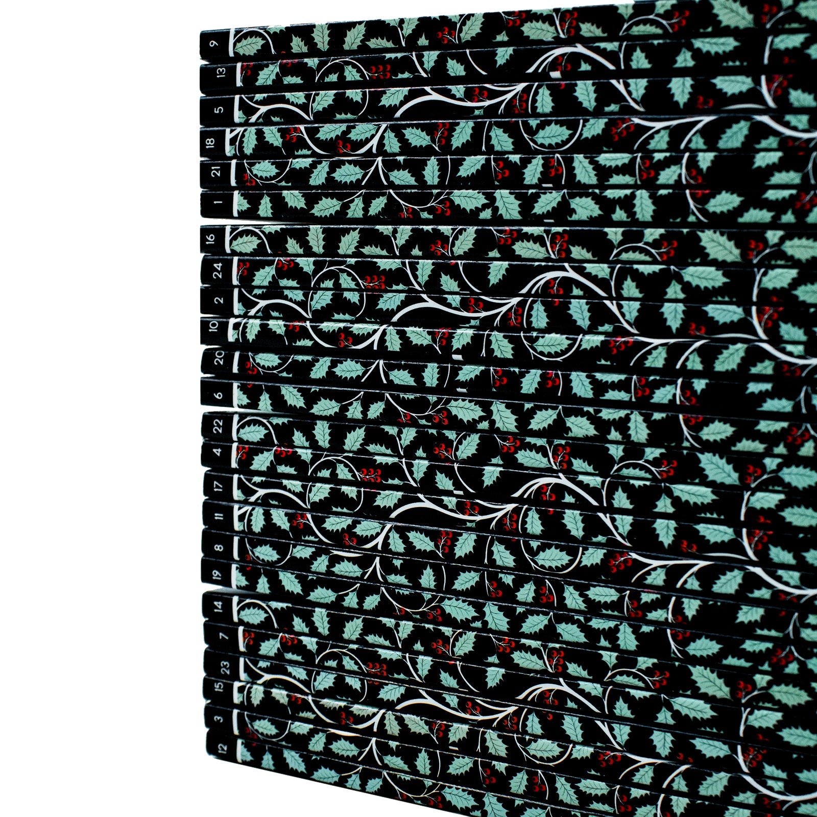 Disney Twisted Tales Advent Calendar Box Set: Fantasy Books for Kids - Holiday Gift with Magic, Adventure, Fun & Surprises for Children