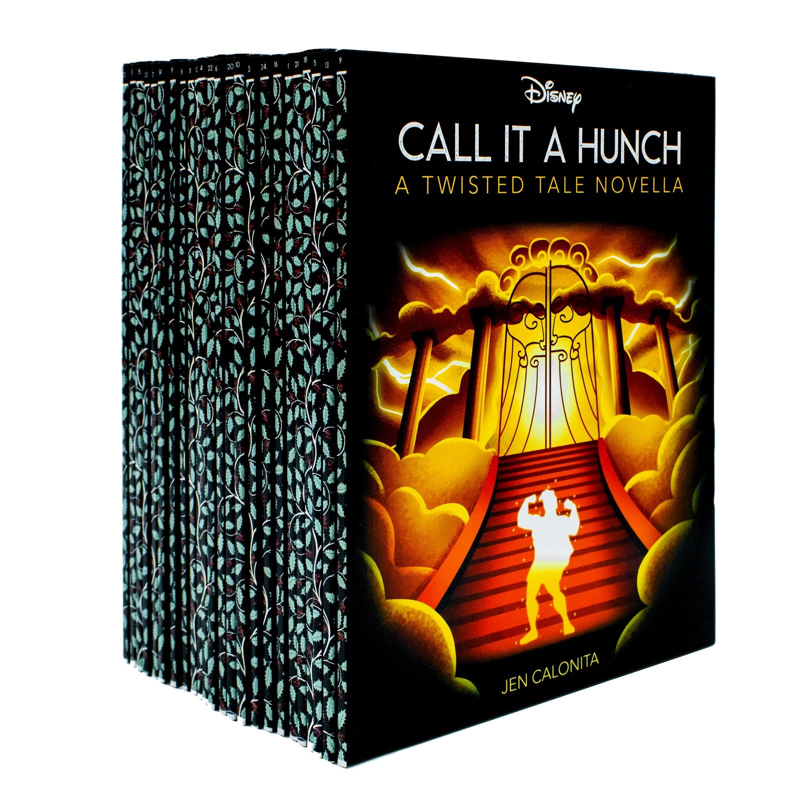 Disney Twisted Tales Advent Calendar Box Set: Fantasy Books for Kids - Holiday Gift with Magic, Adventure, Fun & Surprises for Children