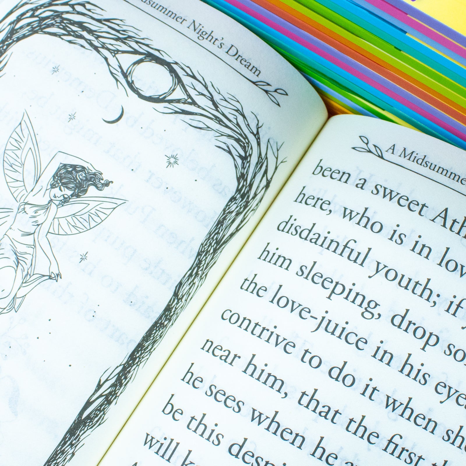 Shakespeare's Stories for Young Readers – 20-Book Set Collection | Classic Tales, Children's Literature, Fiction, Education, Creativity & Storytelling