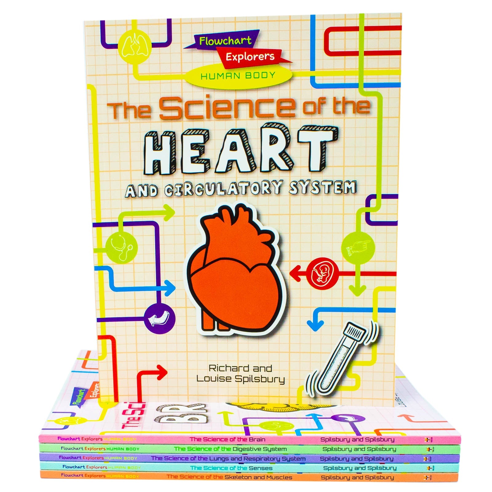 Flowchart Explorers Human Body STEM 6 Science Books Set – Axel Books
