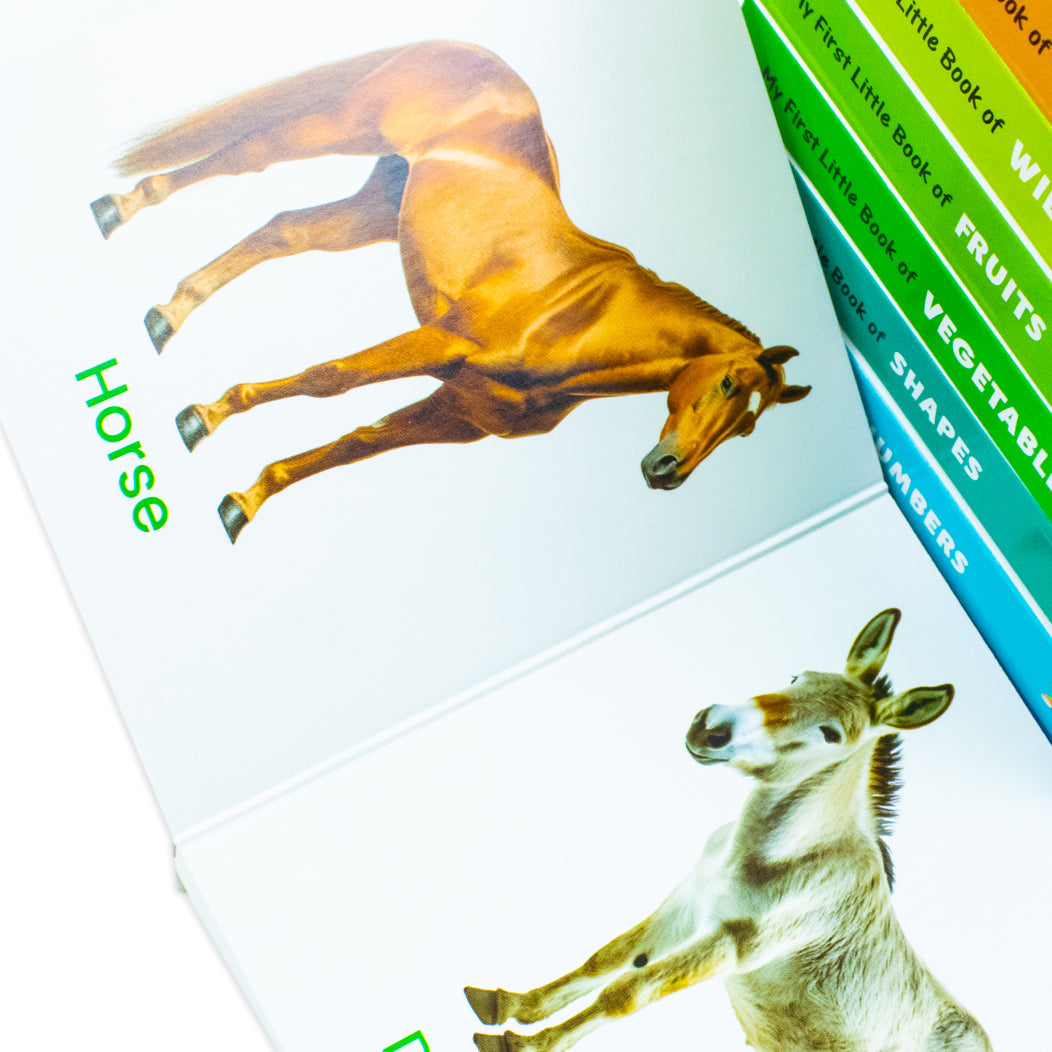 My First Little Library – 10 Board Books Set Collection | Early Learning for Babies & Toddlers (ABC, Numbers, Shapes, Colors, Animals & More)