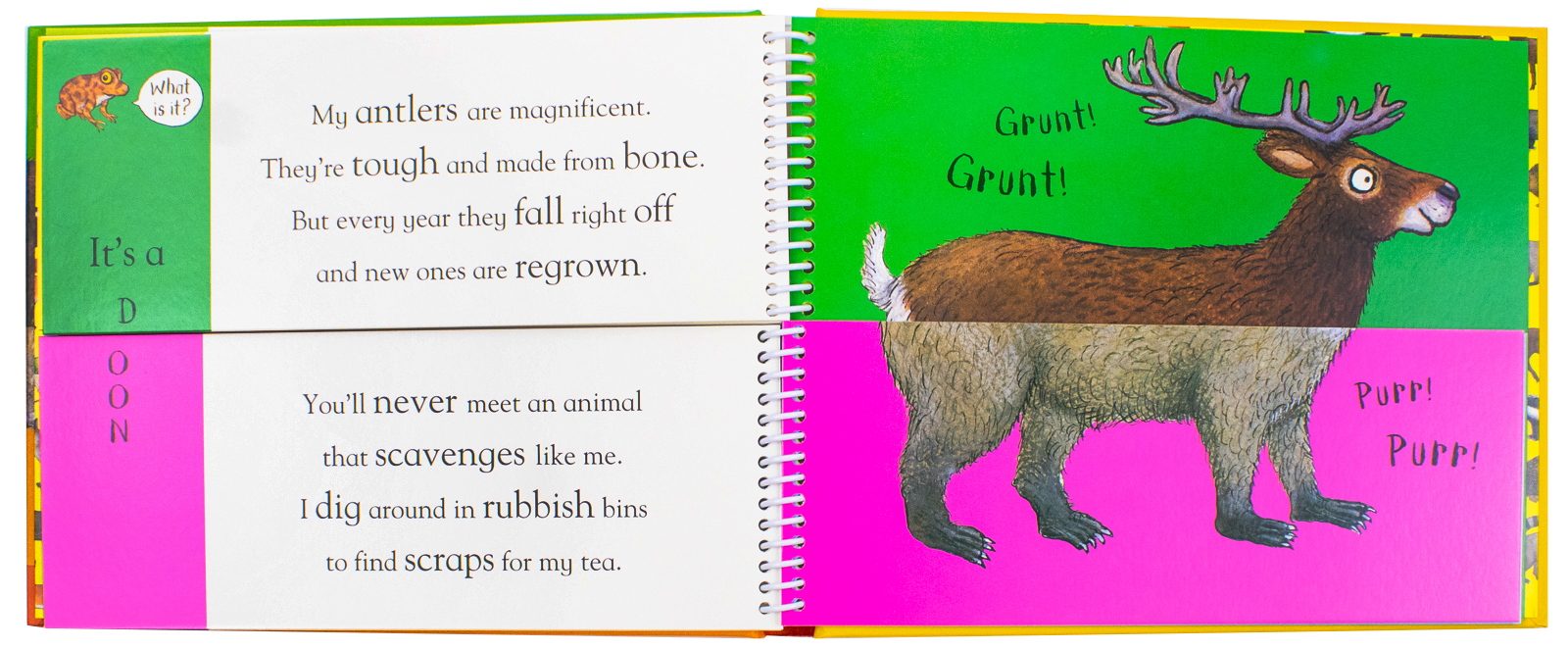 Axel Schefflers Flip Flap Series 5 Books Collection (6-10) (Safari, Ocean, Dinosaurs, Frozen, Forest) | Hardback