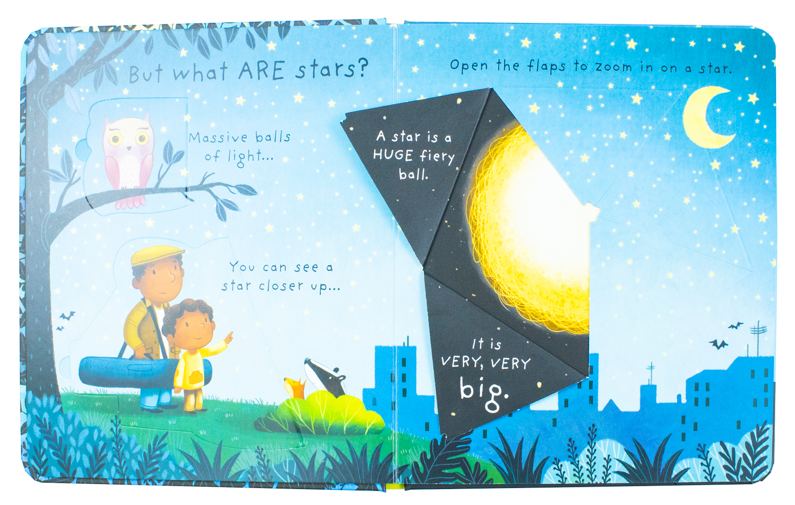 Usborne Lift the Flap Very First Questions & Answers 4 Book Set (What is Poo? What are Germs? What are Stars? Why Do I Have to Go to Bed?)