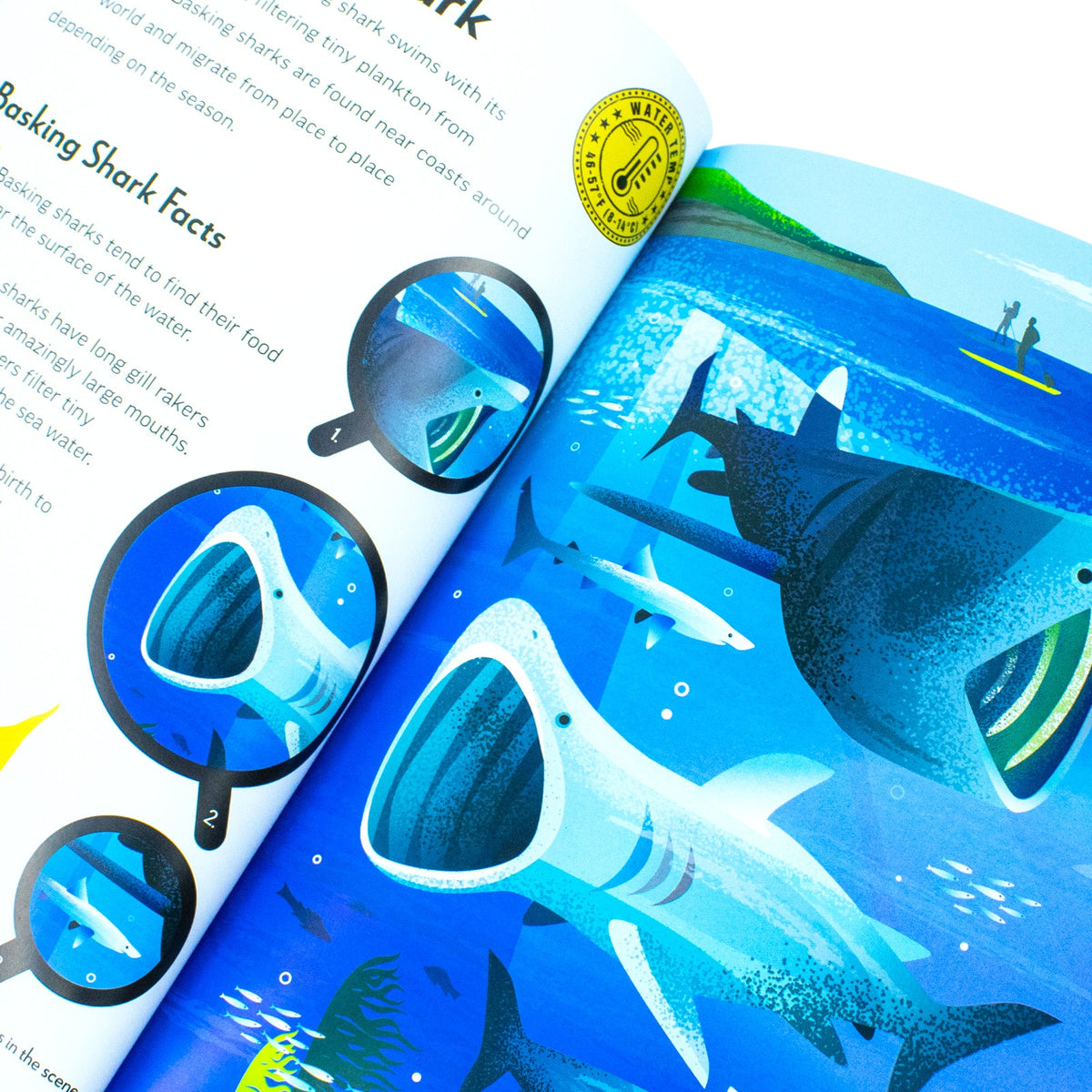 Fantastic Fearsome Sharks (Ignite STEM Book + Model Kit) Board Book By Kit Elliot
