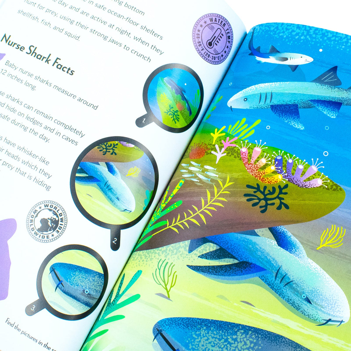 Fantastic Fearsome Sharks (Ignite STEM Book + Model Kit) Board Book By Kit Elliot
