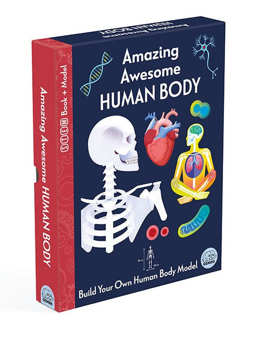 Amazing Awesome Human Body (Ignite STEM Book + Model Kit) Board Book By Susan Mayes
