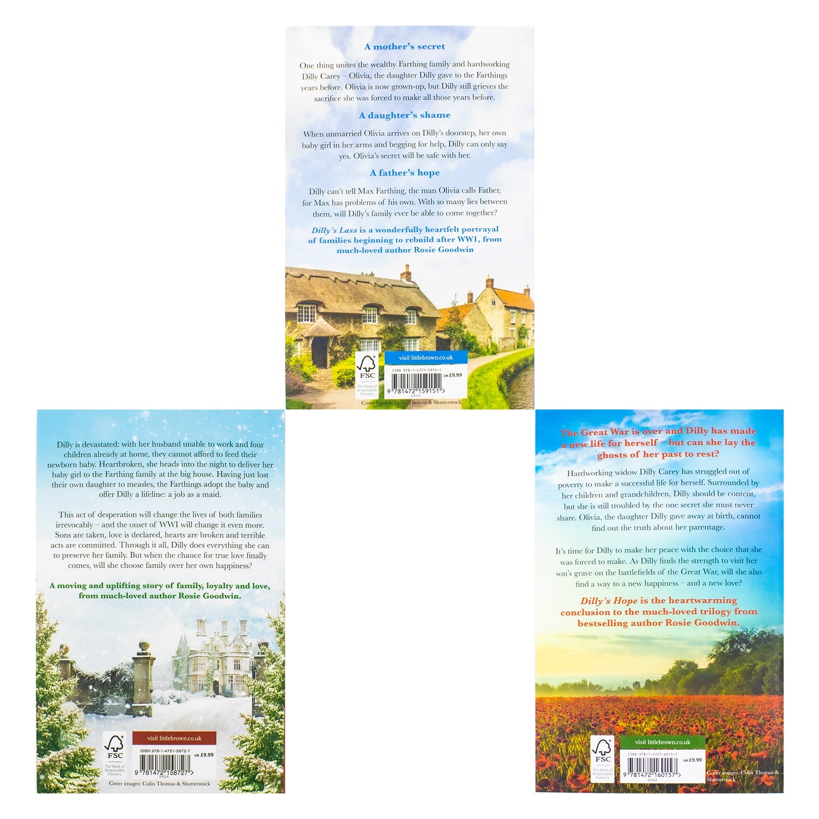 Rosie Goodwin Dilly's Story Series 3 Books Collection Set (Dilly's Sacrifice, Dilly's Lass, Dilly's Hope)