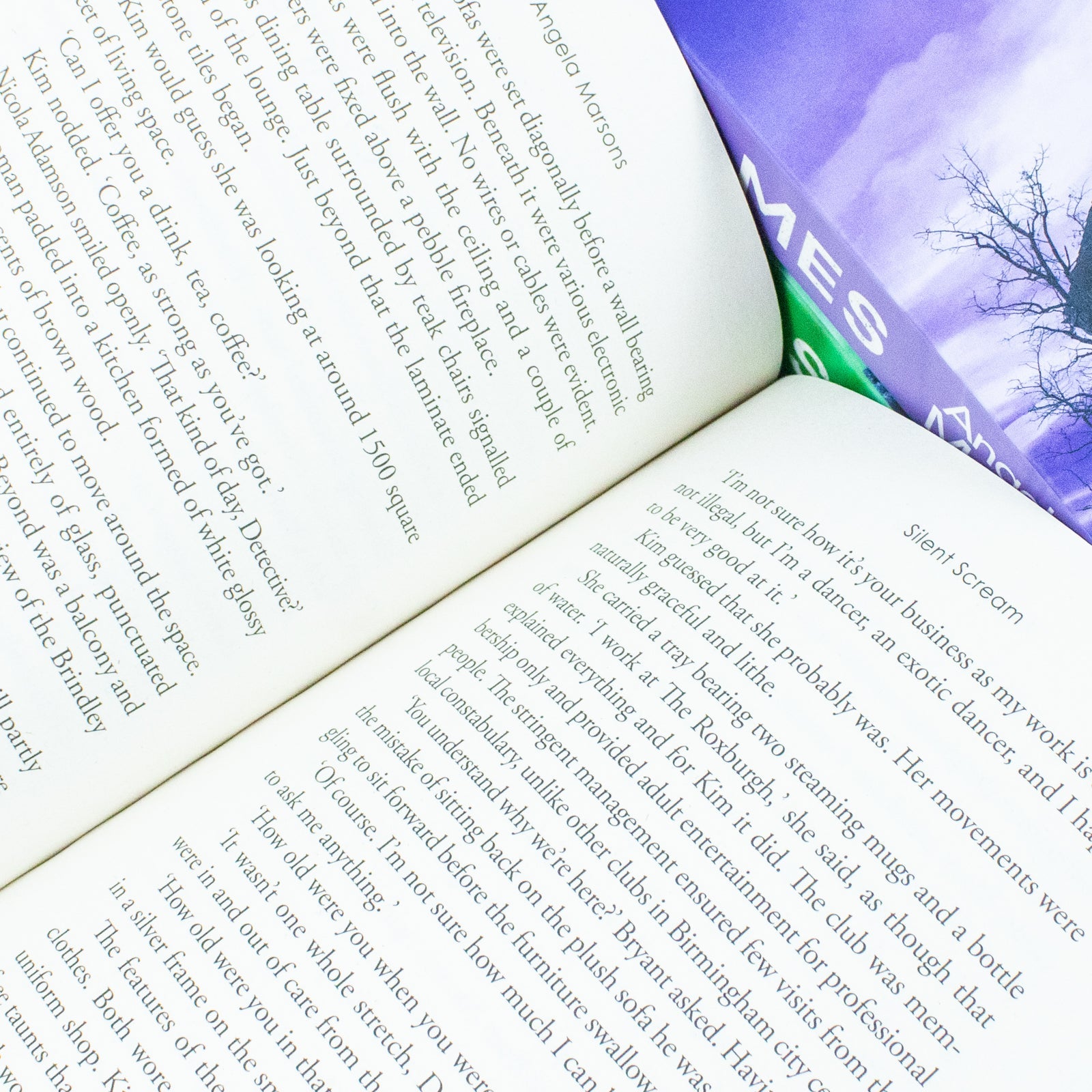 Detective Kim Stone Crime Thriller Series Collection 3 Books Set By Angela Marsons