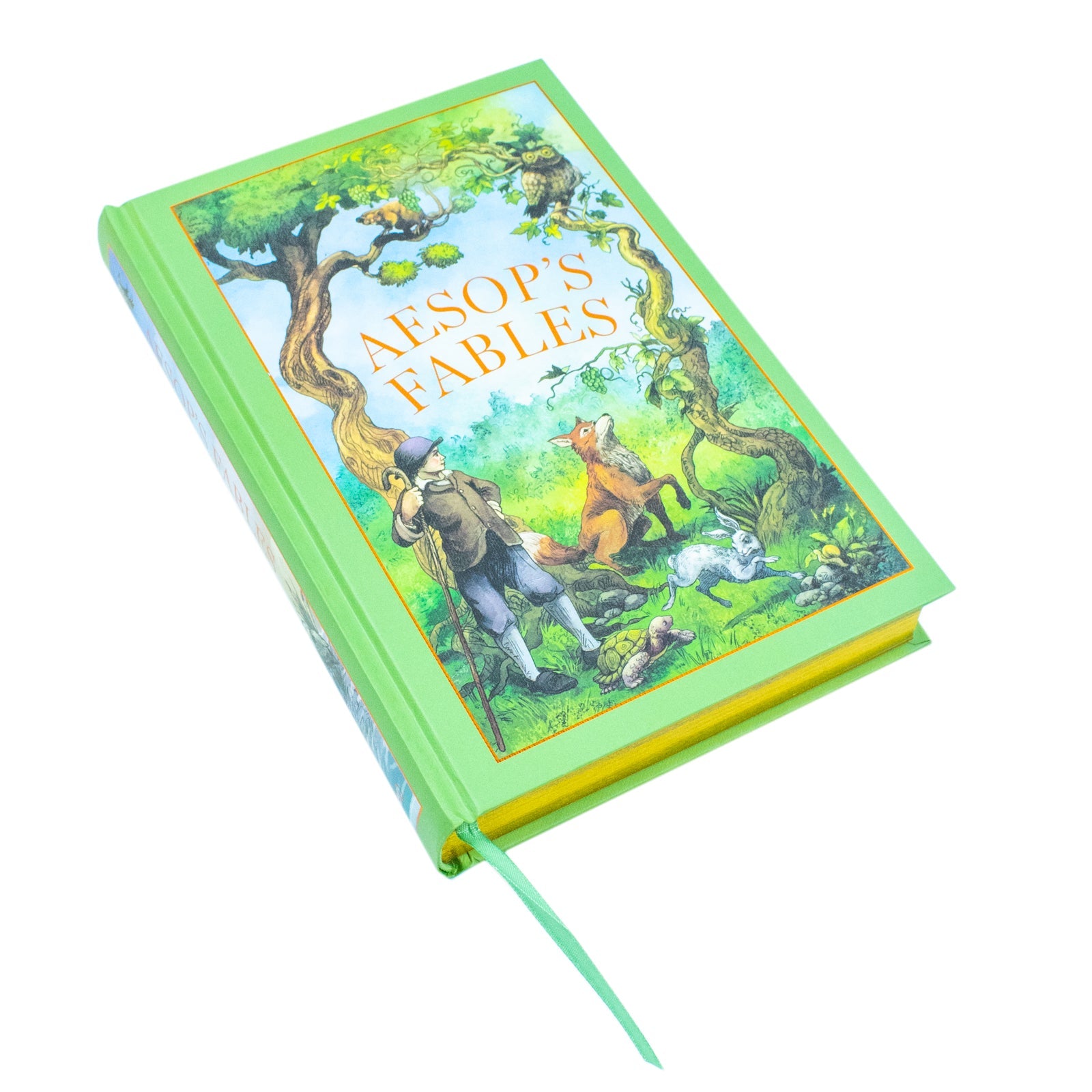 Aesops Fables (Leather Bound/Hardback Book)