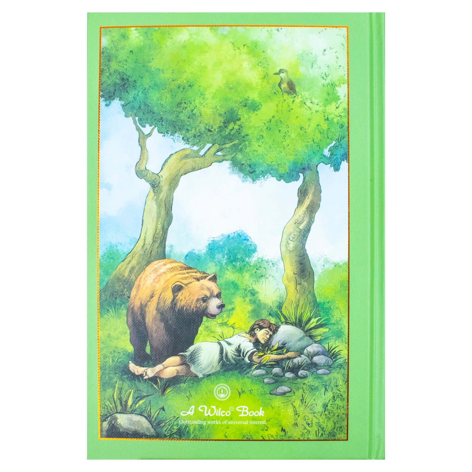 Aesops Fables (Leather Bound/Hardback Book)
