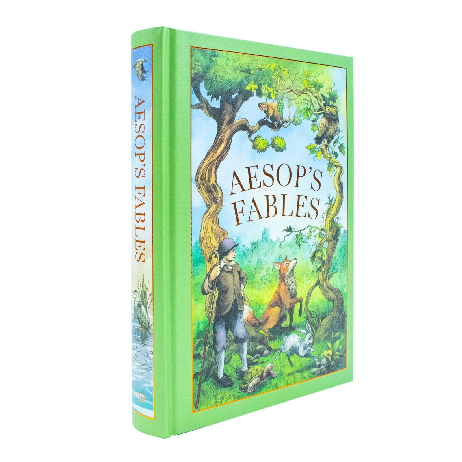 Aesops Fables (Leather Bound/Hardback Book)