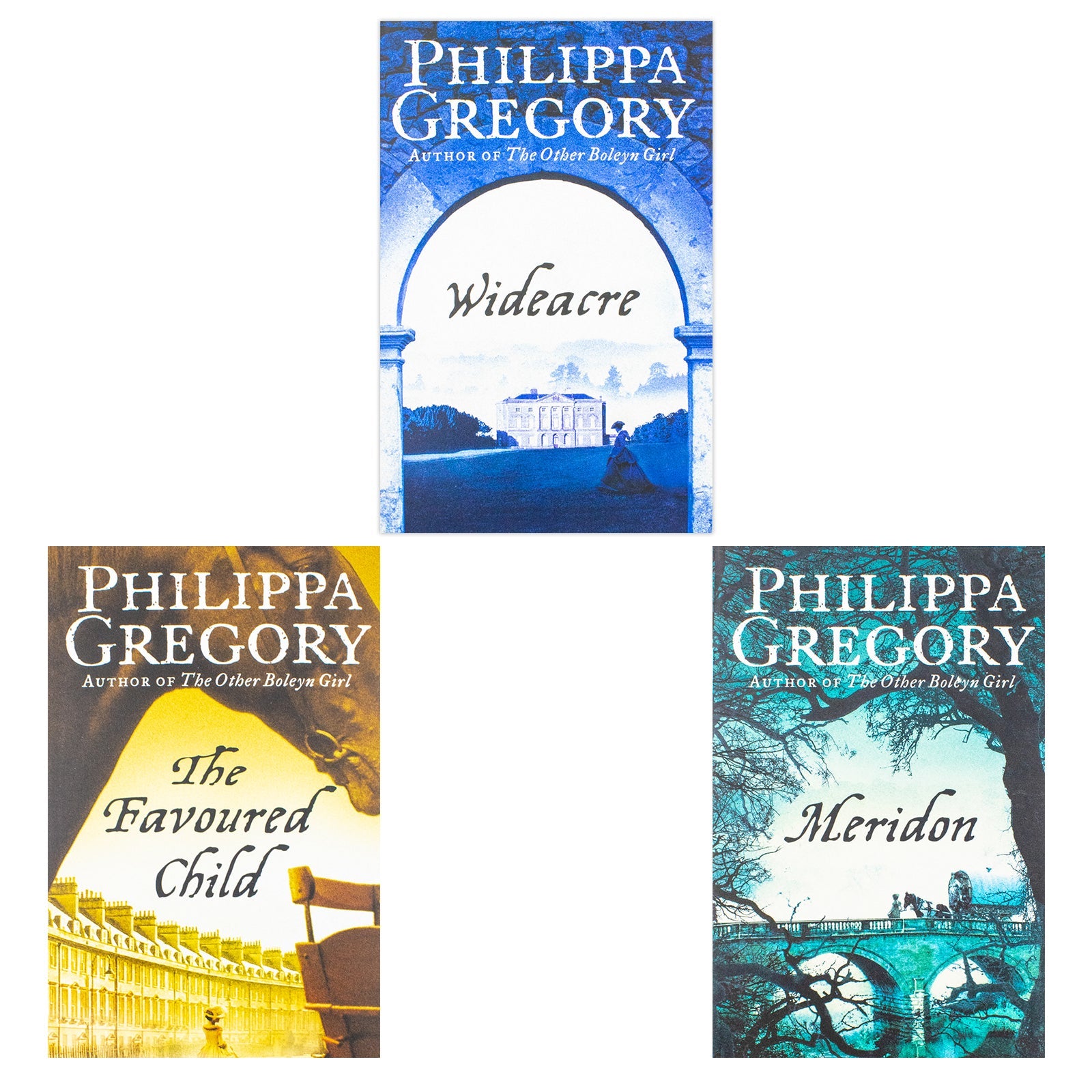 Philippa Gregory Cousins War, Tudor Court and Wildacre Trilogy Collection 15 Books Set (White Queen, Red Queen, Lady of the Rivers, Kingmaker's Daughter, The Virgins Lover, Wideacre, Meridon and More)