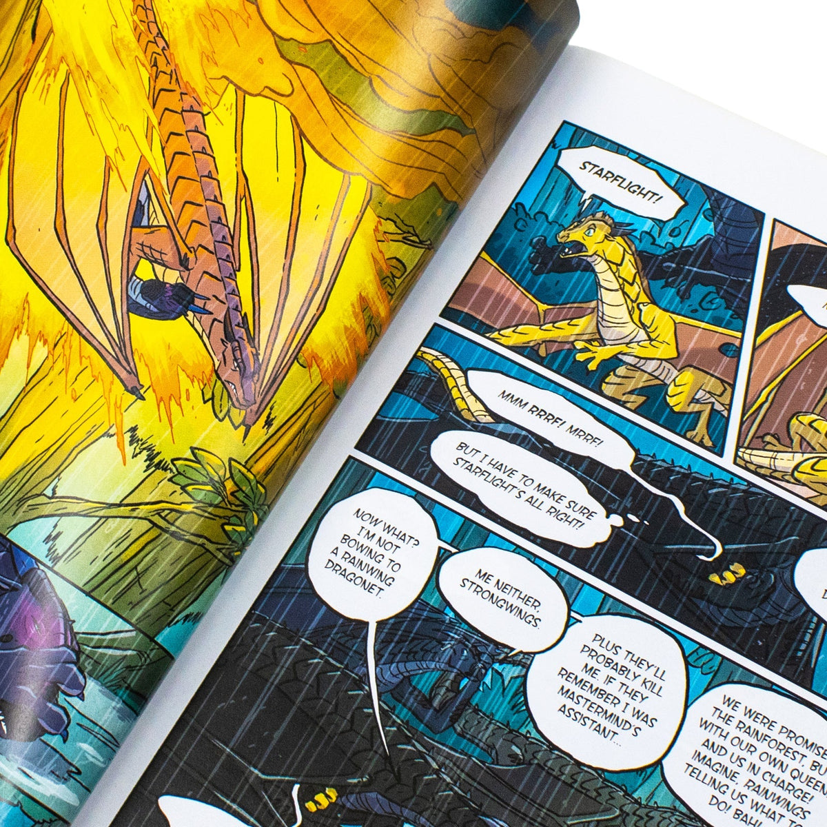 The Brightest Night (Wings of Fire Graphic Novel 5 )