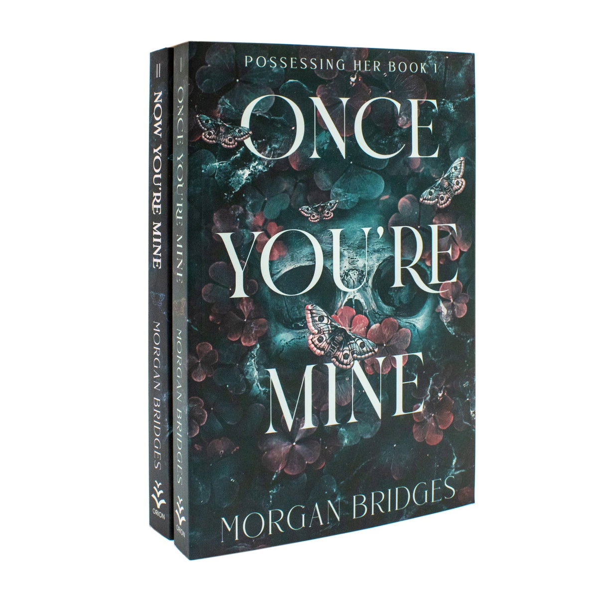 Possessing Her 2 Book Set by Morgan Bridges (Once You're Mine, Now You're Mine) | Paperback