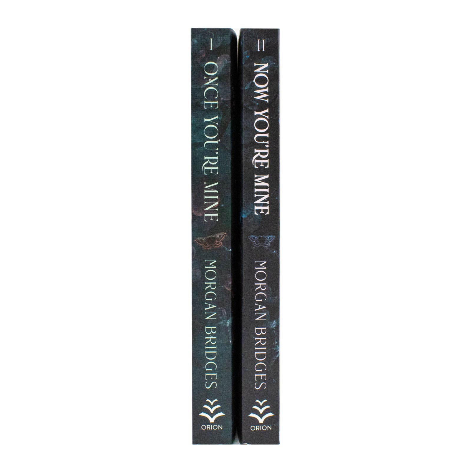 Possessing Her 2 Book Set by Morgan Bridges (Once You're Mine, Now You're Mine) | Paperback