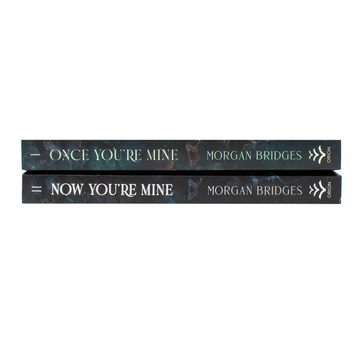 Possessing Her 2 Book Set by Morgan Bridges (Once You're Mine, Now You're Mine) | Paperback