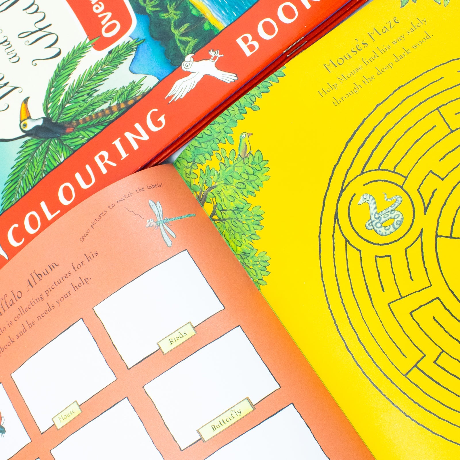 Julia Donaldson Picture & Activity 4-Book Collection– The Gruffalo Activity & Puzzle Book,Room on the Broom Coloring, Fun & Educational Kids’ Learning