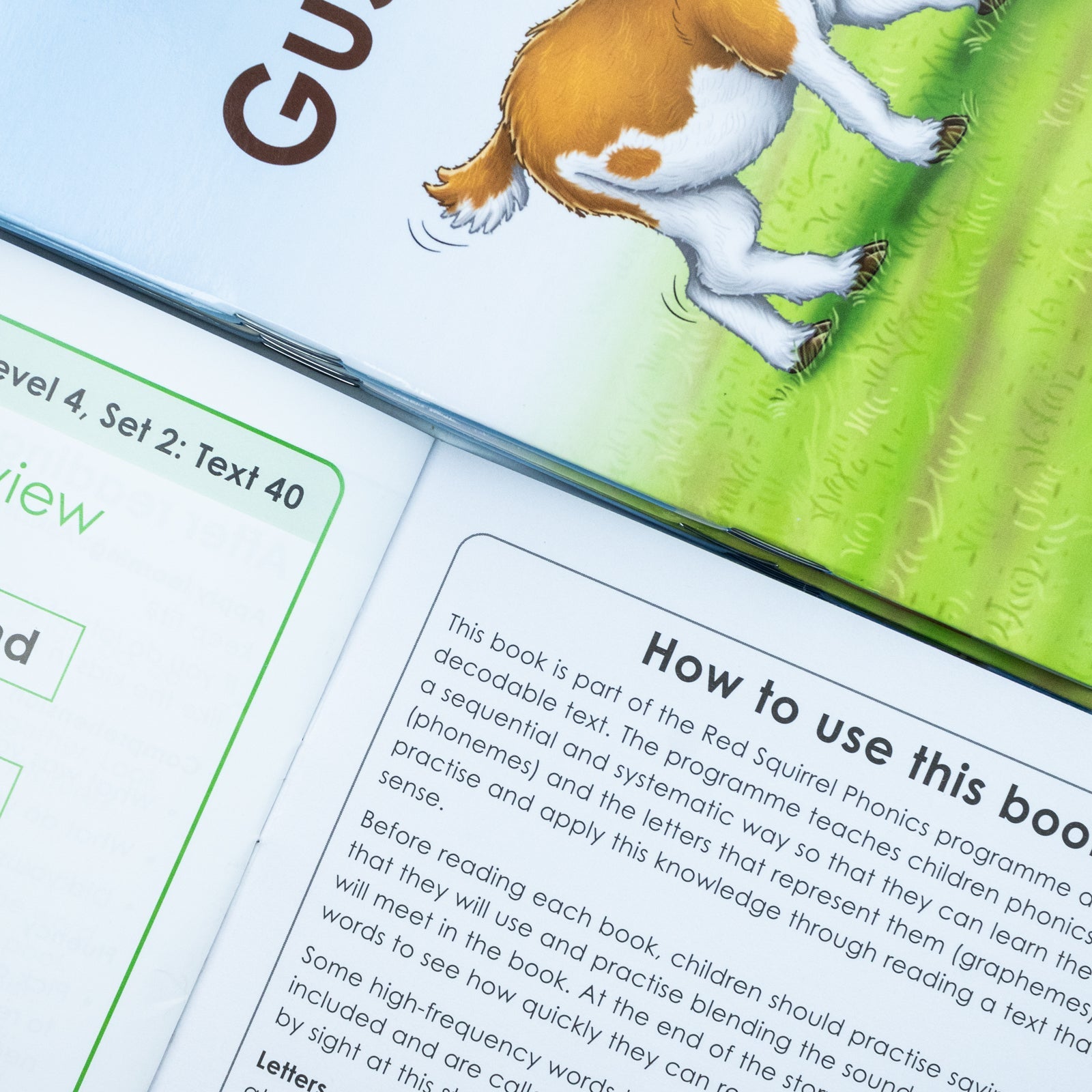 Red Squirrel Phonics Level 4- Set 2  Collection 8 Books Set(Gus and tex,A bang and a thud, Nat's shop, Keep fit, The pink thing, Fizz the pup, Set sail, A job for Thog)
