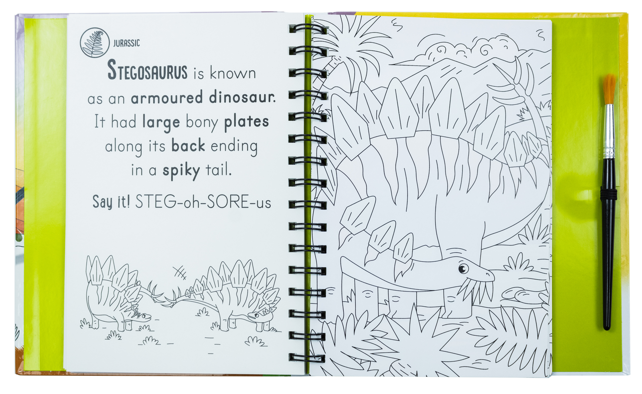 Magic Water Colouring Activity Collection 3 Book Set By Jenny Copper( Wheel & Steel Machines, Farm, Dinosaurs)