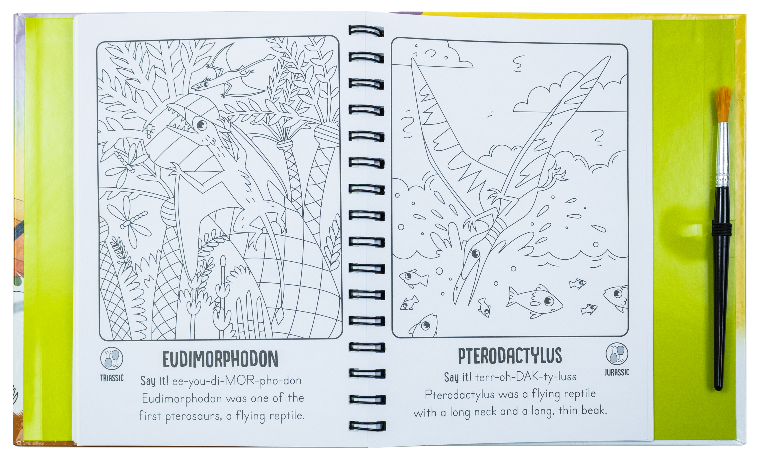 Magic Water Colouring Activity Collection 3 Book Set By Jenny Copper( Wheel & Steel Machines, Farm, Dinosaurs)