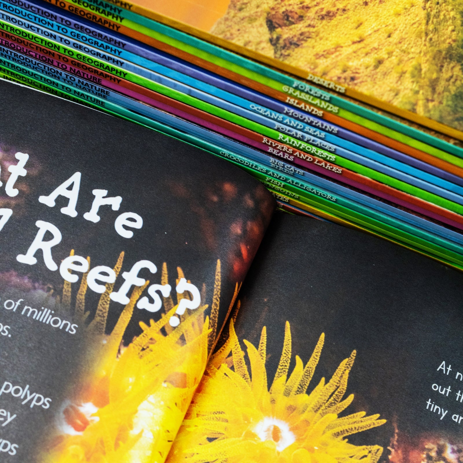 Children's Introduction to Nature & Geography 20-Books Box Set – Explore Wildlife, Ecosystems & Landscapes | Bears, Big Cats, Coral Reefs, Deserts & More