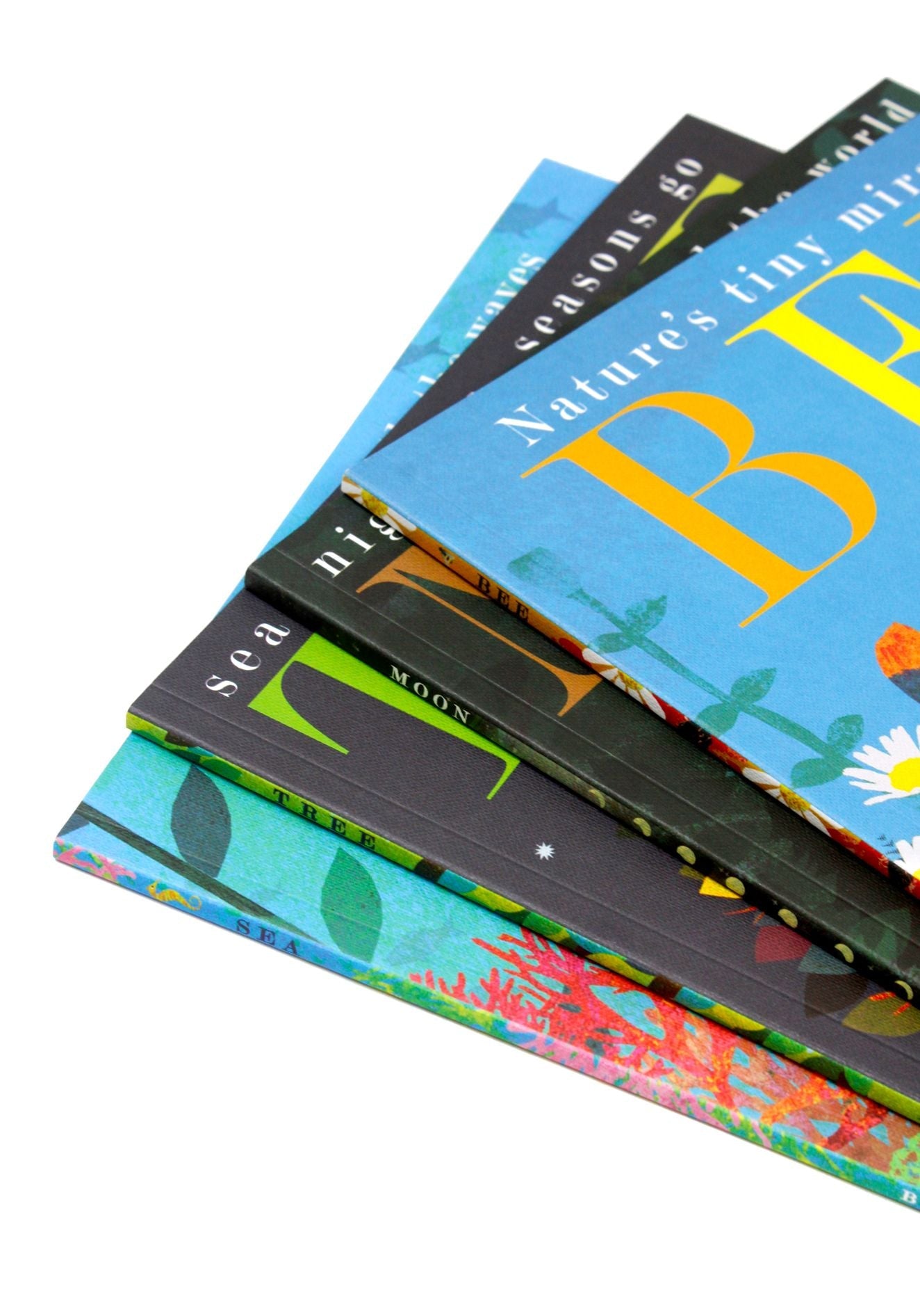 Britta Teckentrup 4 Book Set by Patricia Hegarty – Illustrated Children's Storybooks for Young Readers, Learning, Fun, Imagination & Read-Aloud Time