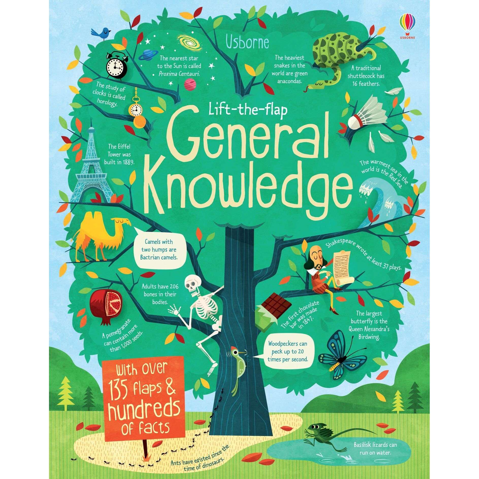 Lift the Flap General Knowledge Book By Alex Frith James Maclaine (Hardback)