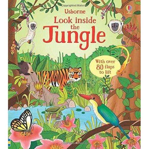 Usborne Look Inside Our World 6 Book Set for Kids 5+
